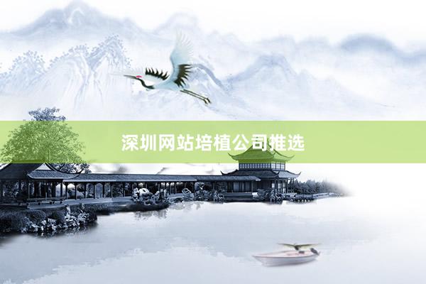 深圳网站培植公司推选